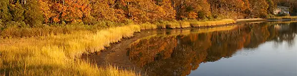 waterfront restoration